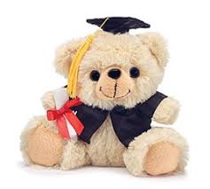 Maybe you would like to learn more about one of these? Graduation Stuffed Animals Wholesale Graduation Plush Toys