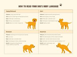 how to understand dog body age rawz