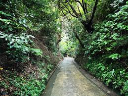 亀ヶ谷坂 - 鎌倉市観光協会 | 時を楽しむ、旅がある。～鎌倉観光公式ガイド～