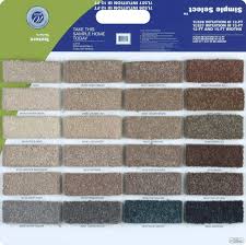 shaw sle multicolor carpet at