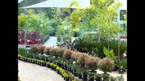 Near you 20+ gardening services near you. The Best Garden Centre 2016 Youtube