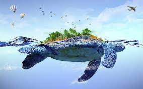 best 4 turtle backgrounds for computer