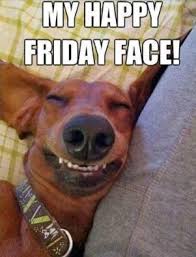 My Friday Happy Face [Funny dog meme] - nevershutup.net via Relatably.com