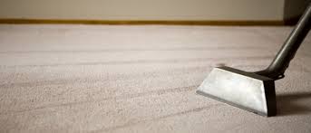 professional carpet cleaning reno nv