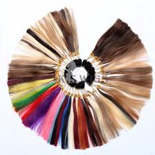 Human Hair Color Chart Color Sheet Color Ring