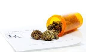 So, read on for the most common reasons florida may initially reject your medical cannabis application. Medical Marijuana What Rights Do Employees Have South Florida Sun Sentinel