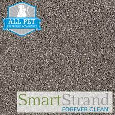 pet friendly carpet mohawk delicate
