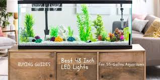 8 Best 48 Inch Led Lights For 55 Gallon Aquariums In 2020 Review