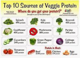 Parrot Diet Chart Google Search High Protein Vegetables