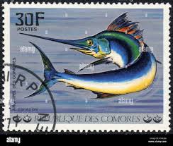 Un timbre imprim en Comores montre un espadon collection poissons  tropicaux vers 1977 Photo Stock - Alamy