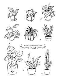 Plant Sketches Plant Drawing Plant Doodle