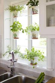 Well you're in luck, because here they come. Window Herbs Kitchen Garden Window Window Shelf For Plants Herb Garden In Kitchen