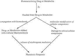 Cutaneous Drug Reactions Pharmacological Reviews