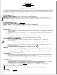 Resume Qualification Summary Resume Professional Examples For