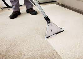 will professional carpet cleaning