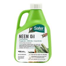Safer Brand Neem Oil Concentrate 16 Oz