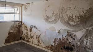 How To Treat Damp Walls A Complete