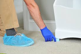 hire a professional carpet cleaner