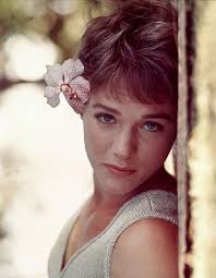 She played julie carlyle, the star of her own network variety show, who fell in love and married a veterinarian, sam mcguire (james farentino). Pin By Jennifer Manuel On Julie Andrews Julie Andrews Celebrities Hollywood Stars