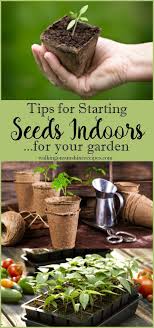 Seeds Indoors For The Garden