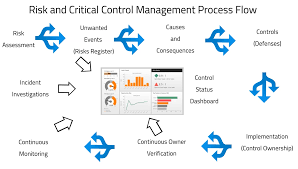 risk sment and control management