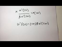Euler Equation Economics Consumption