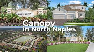 canopy homes in north naples