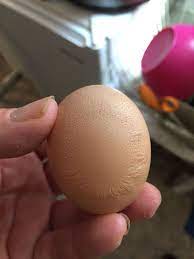Pattern on eggshell: what is it? | BackYard Chickens - Learn How to Raise  Chickens