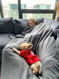 Want to keep up with new articles from tyler toffoli, follow us on twitter for updates and see tyler. Cat Toffoli Debated Waking Them Up To Show Him The Player Of The Week News But I Couldn T Interrupt This Tytoff16 Habs