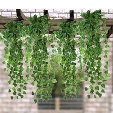 plants indoor living room ideas