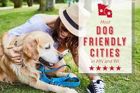 most dog friendly cities in minnesota