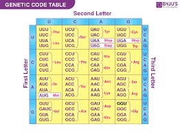 the genetic code types and codons for