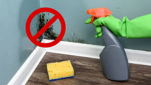 how to remove mould and mildew from