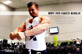 wf pro marco araujo chest arms workout video
