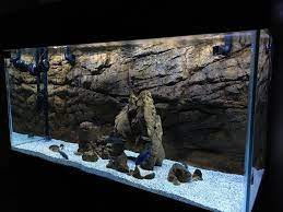 Aquarium Reptile Rock S