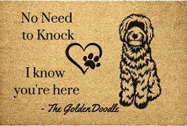 best goldendoodle gifts for dog