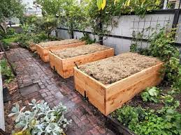 Wicking Beds By Very Edible Gardens