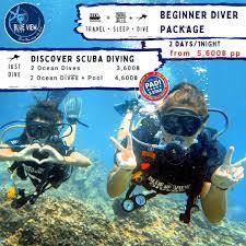 phi phi diving list at blue view