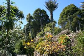 tresco abbey garden isles of scilly