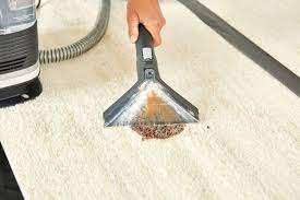the 8 best carpet cleaners for pets in 2024