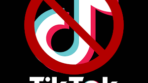 Petition · SHUT DOWN TIK TOK · Change.org