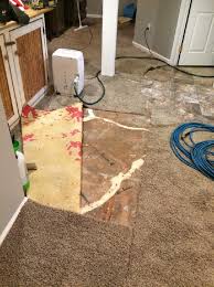 water damage cleanup erie pa on the