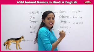Wild Animal Names In Hindi And English Learn English Through Hindi For Children Learn Animals