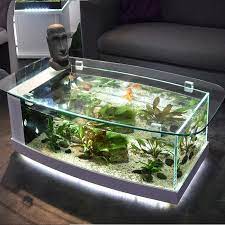 Aquarium Fish Tank With Low Iron