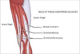 Great hamstring exercises for track athletes. Hamstring Strain Exercises From A Pilates Perspective