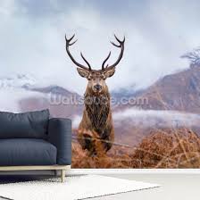 The Deer King Wallpaper Wallsauce Au