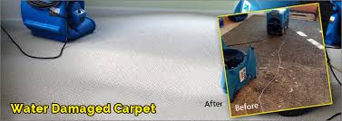 thousand oaks rescue carpet repair