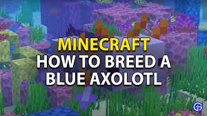 Download packs more axolotl colors 1.18/1.17.1/1.17/1.16.5/1.16.4/forge/fabric/1.15.2 for minecraft. How Do You Breed A Blue Axolotl In Minecraft Command Steps