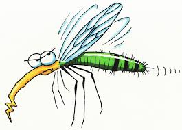 Продължителността на живот на комарите е между 4 и 8 седмици.1. V Obshina Nikopol She Prskat Sreshu Komari Ot 13 Do 16 Yuni Pleven Za Pleven