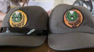 OGM Orman Genel Müdürlüğü 2022 işçi alımı başvurusu ne zaman, şartları ne,  kimler başvurabilir? - Haberler